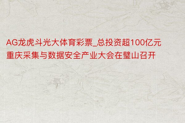 AG龙虎斗光大体育彩票_总投资超100亿元 重庆采集与数据安全产业大会在璧山召开