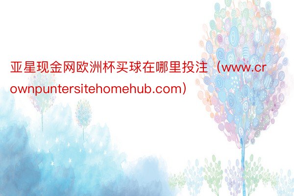 亚星现金网欧洲杯买球在哪里投注（www.crownpuntersitehomehub.com）