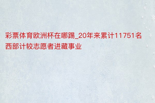 彩票体育欧洲杯在哪踢_20年来累计11751名西部计较志愿者进藏事业