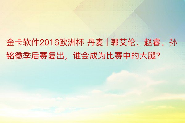 金卡软件2016欧洲杯 丹麦 | 郭艾伦、赵睿、孙铭徽季后赛复出，谁会成为比赛中的大腿？