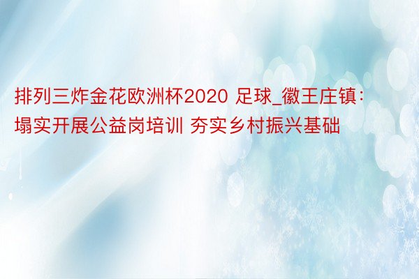 排列三炸金花欧洲杯2020 足球_徽王庄镇：塌实开展公益岗培训 夯实乡村振兴基础