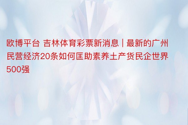 欧博平台 吉林体育彩票新消息 | 最新的广州民营经济20条如何匡助素养土产货民企世界500强