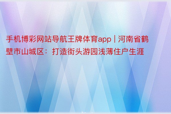 手机博彩网站导航王牌体育app | 河南省鹤壁市山城区：打造